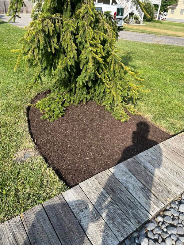 Landscape Design