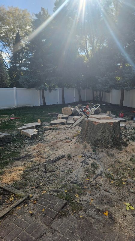 Stump Removal