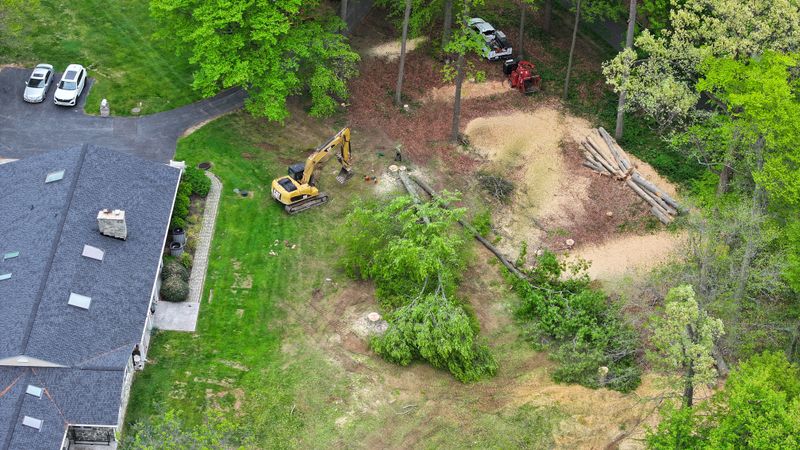 Land Clearing