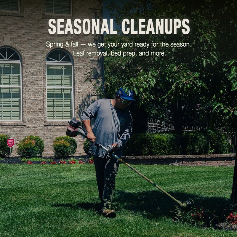 Tree & Shrub Care