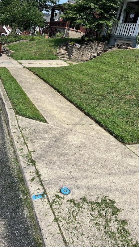 Lawn Maintenance