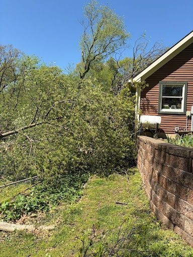 Tree Removal