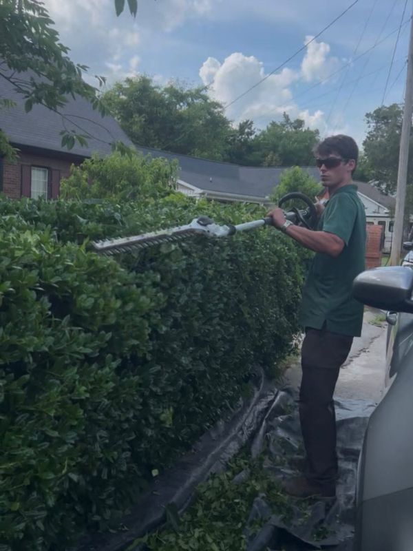 Lawn Maintenance