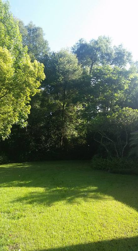 Tree Trimming