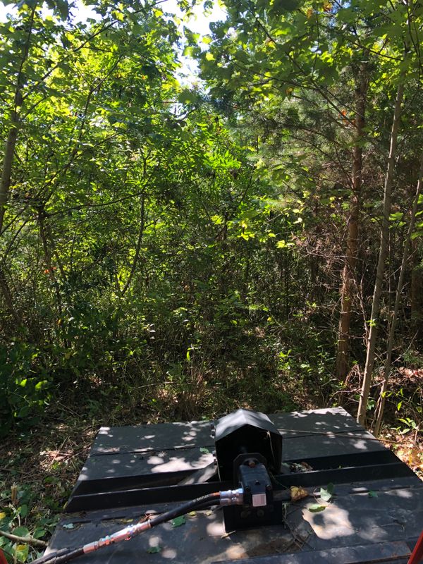 Bush  Hogging