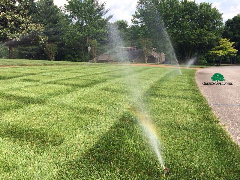 Lawn Care gallery