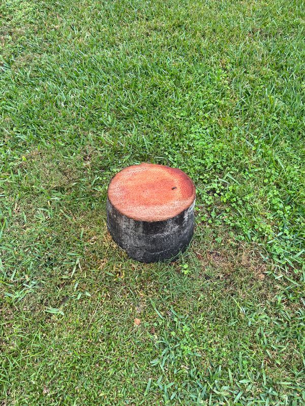 Stump Grinding