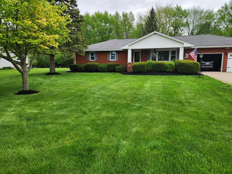 Lawn Aeration