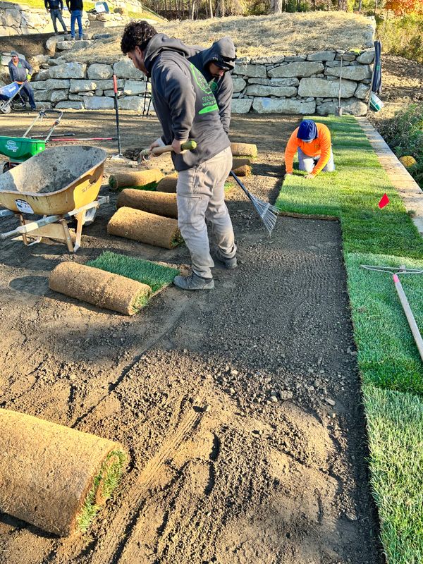 Landscaping