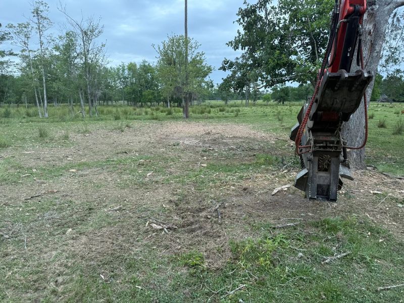 Land Clearing