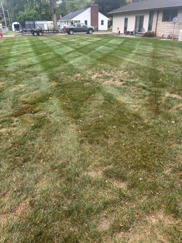 Spring Cleanup