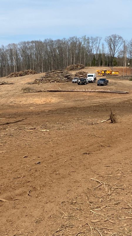 Land Clearing gallery