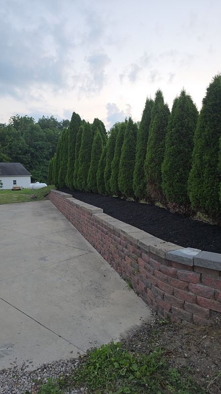 Mulch Installation