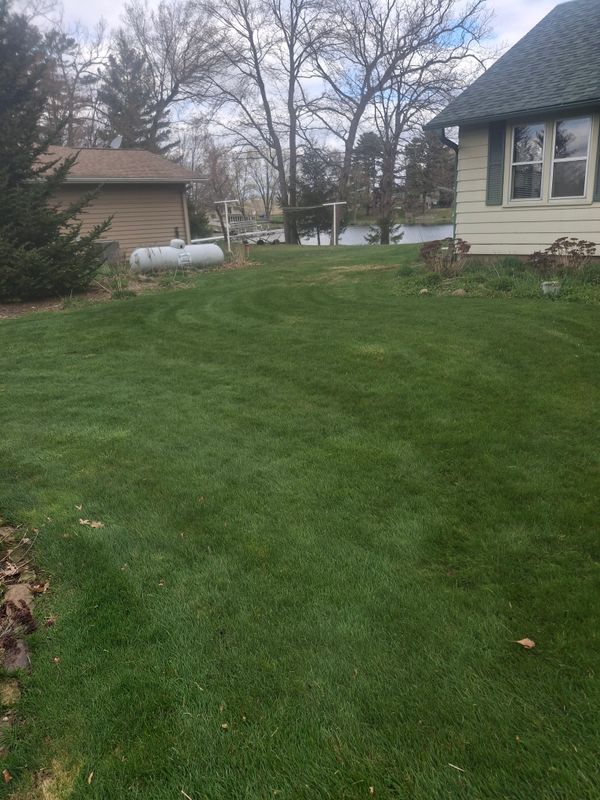Lawn Maintenance
