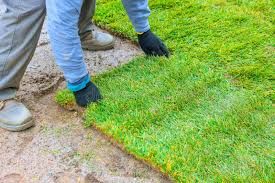 Lawn Treatment