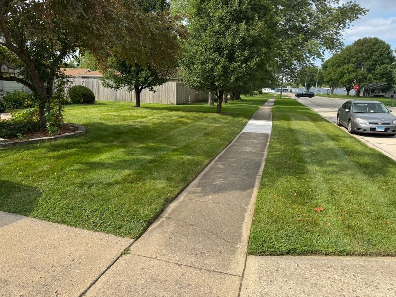 Lawn Mowing