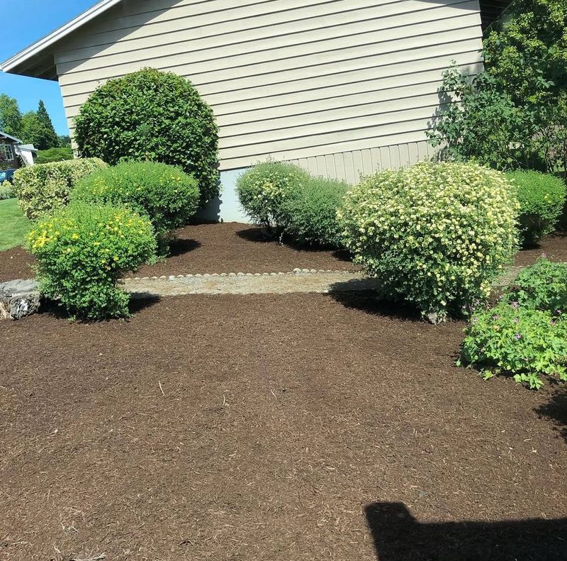 Mulch Installation