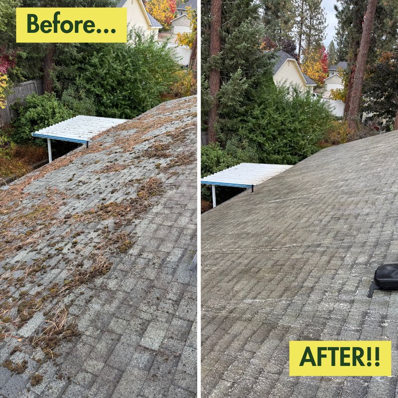 Before & After Photos