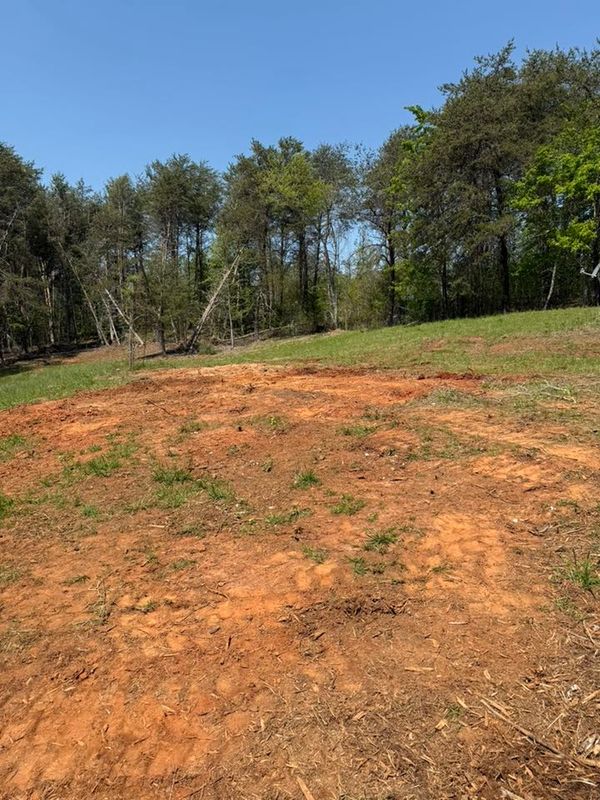 Tree Removal gallery