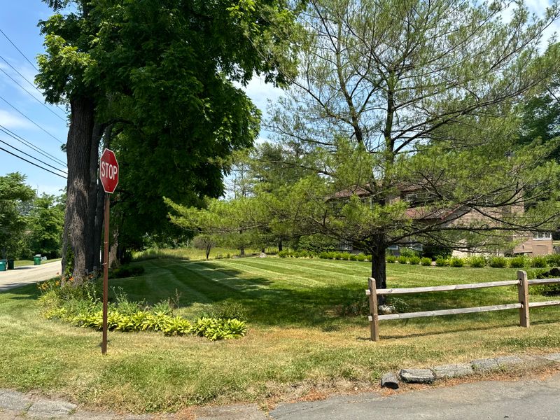 Transformative Grass Cutting & Organic Mosquito Spray Service in Hopewell Junction