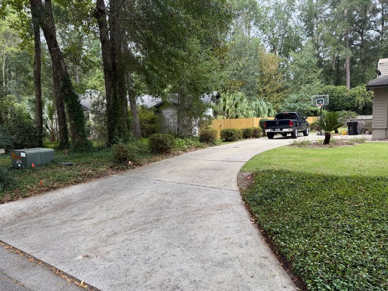 Landscape & Property Cleanup