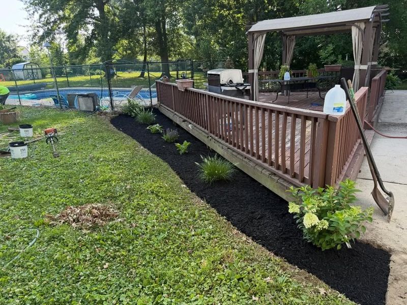Landscape Design & Installation