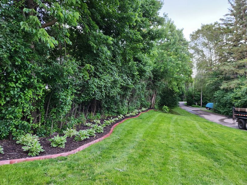 Landscaping 