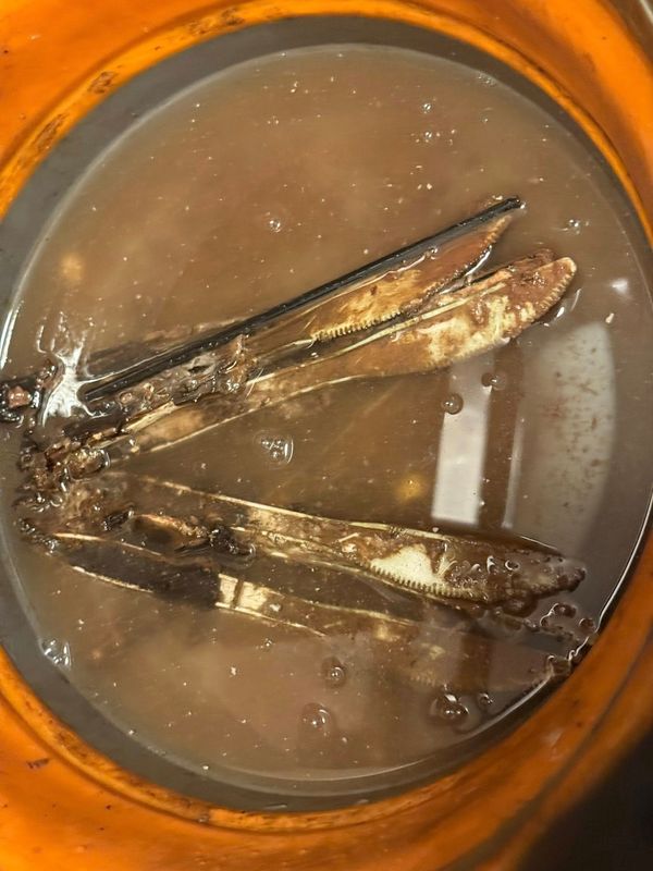 Drain Cleaning gallery