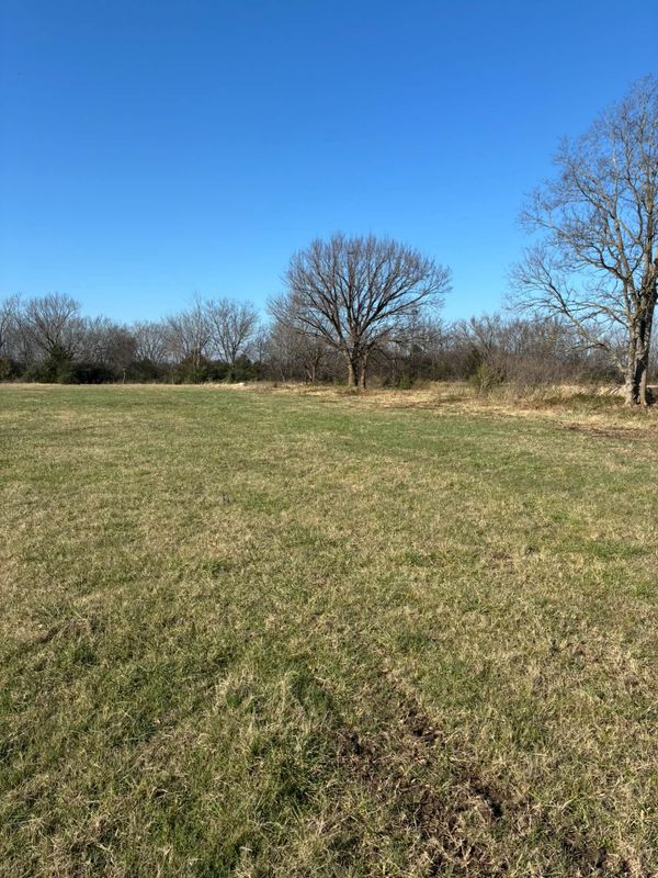 Fence Clearing Excellence by ClearCut Land Solutions