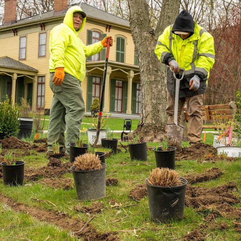 Weekly Lawncare