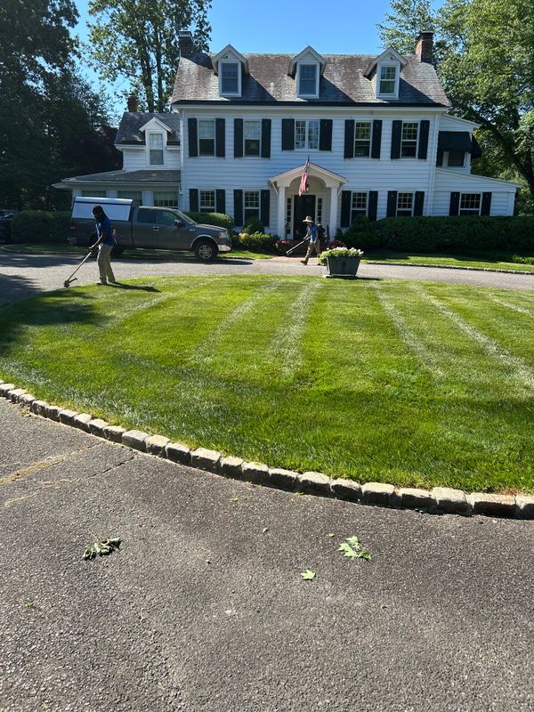 Lawn Maintenance