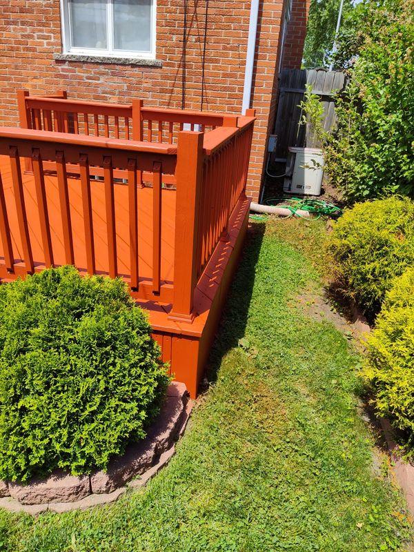 Deck and Fence Staining