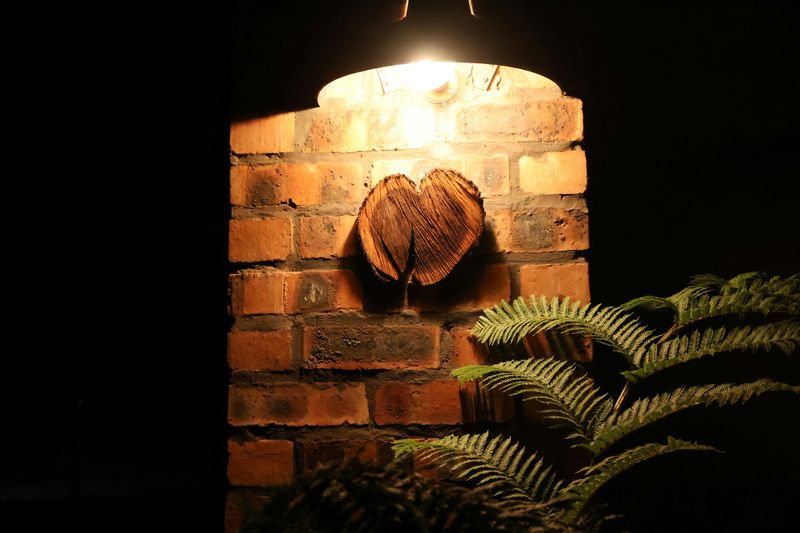 Landscape Lighting