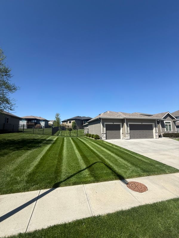 Lawn Care