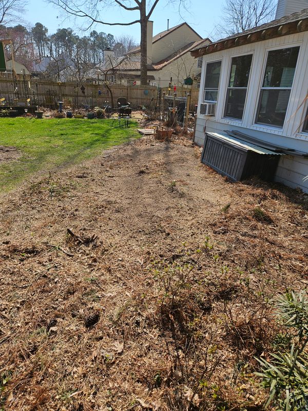 Wood Chips and Debris Removal