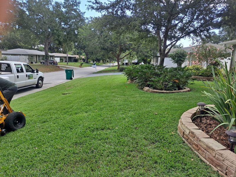 Fall Clean Up