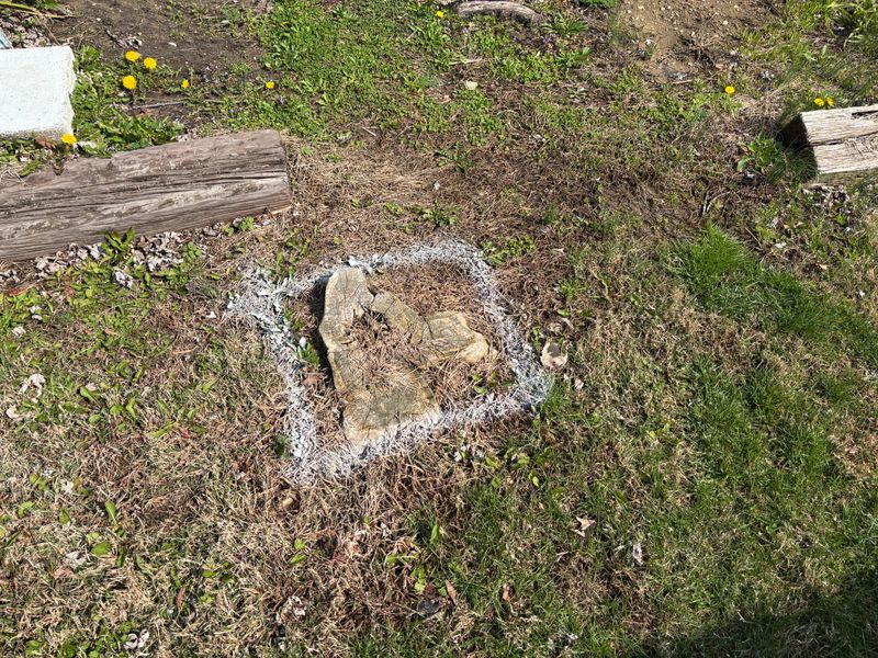 Stump Removal