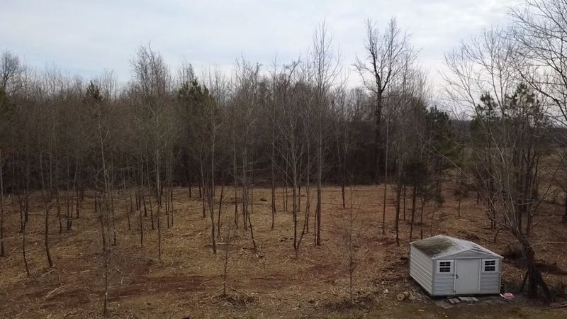 Forestry Mulching
