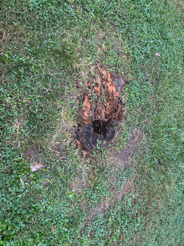 Stump Removal