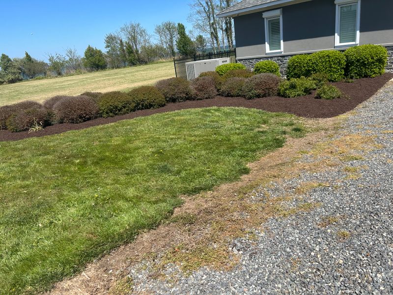 Mulch