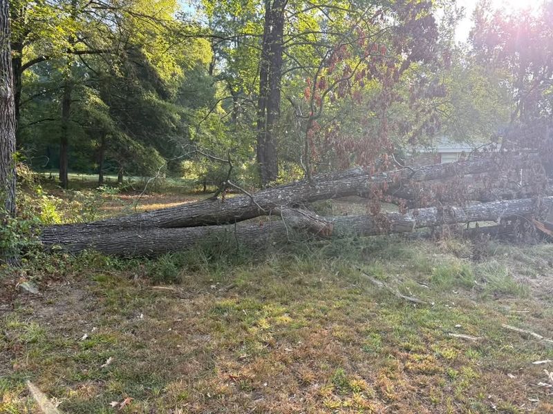 Land Clearing