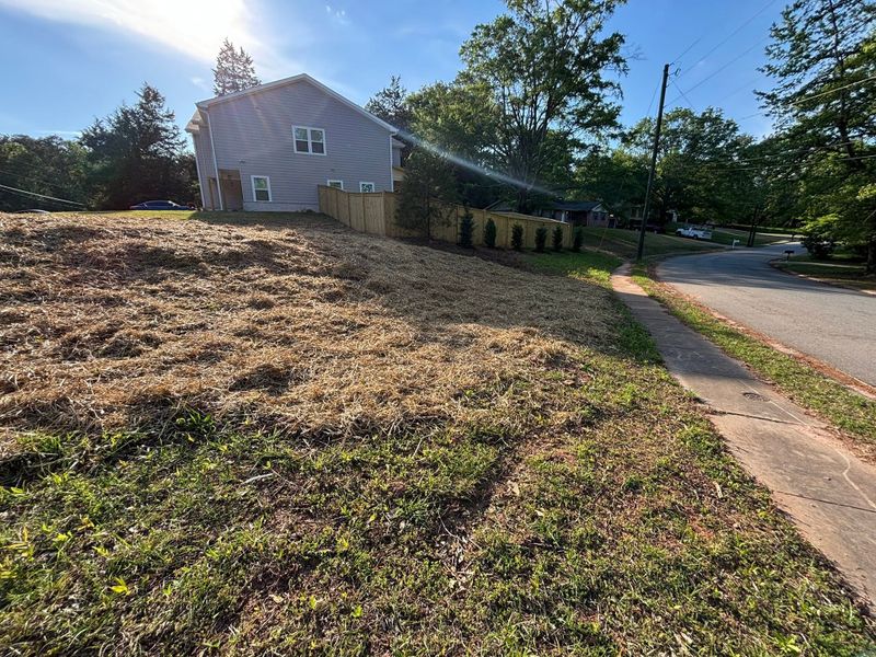 Sod  Installing