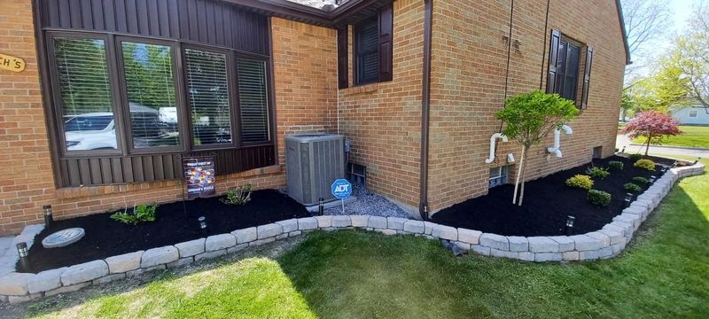 Shrub & Plant Installation Photos