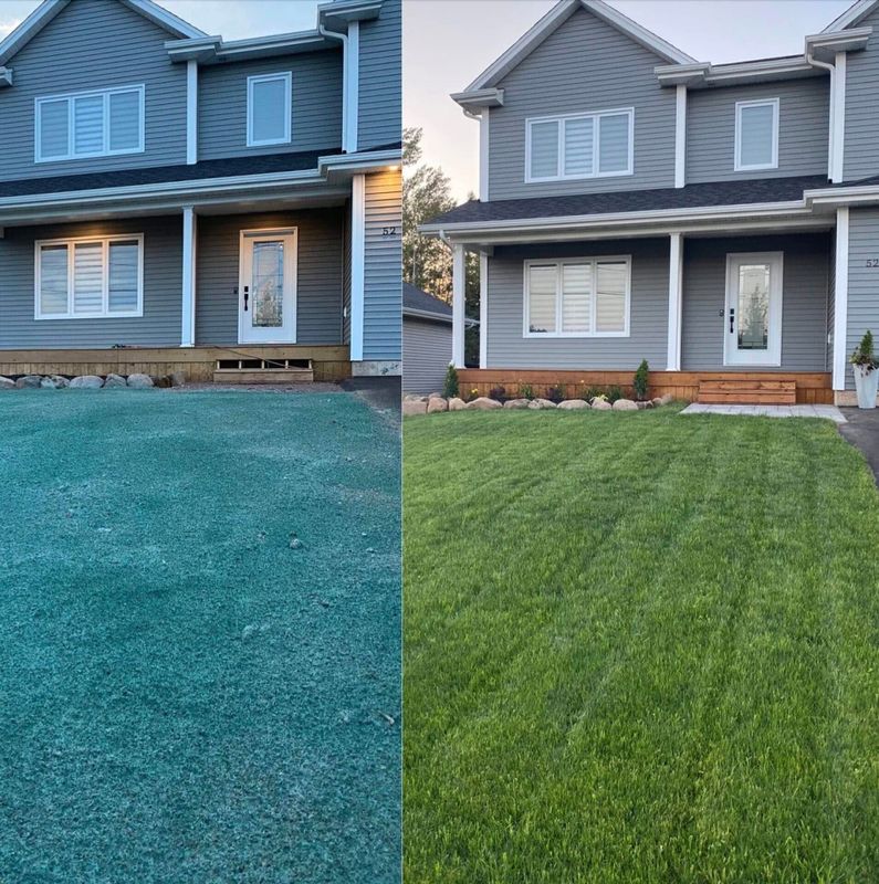 Hydroseeding Services