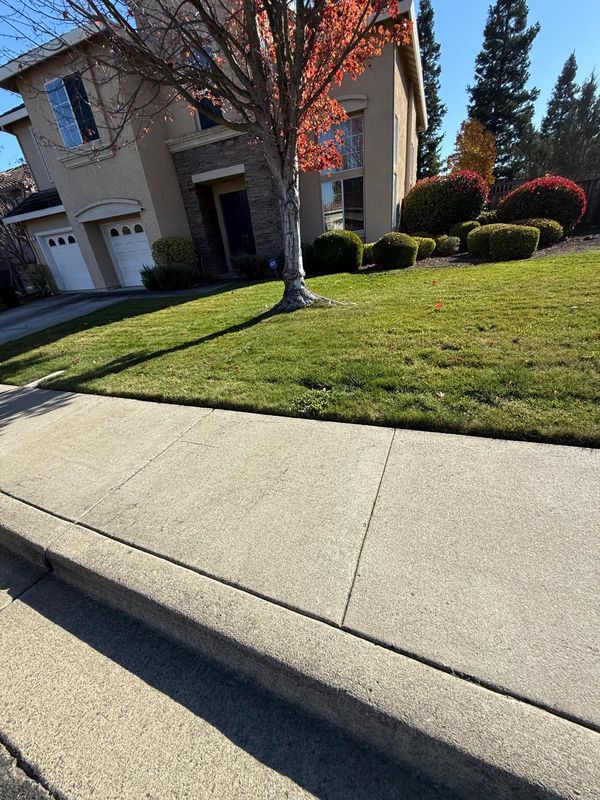 Landscaping