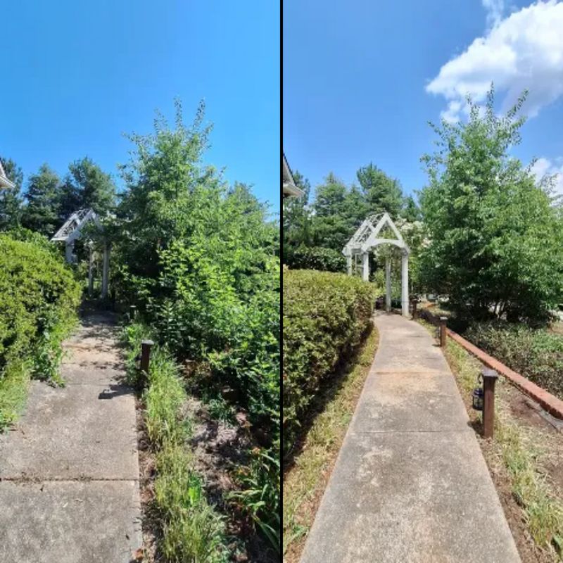 Residential Lawn Care