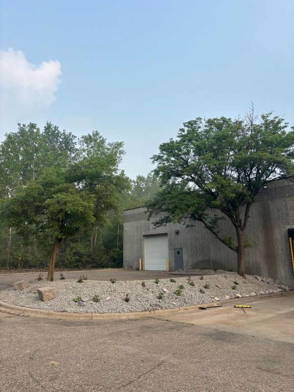 Landscape Design & Installation