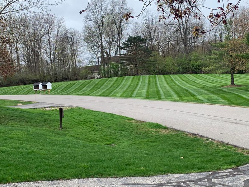 Lawn Installation