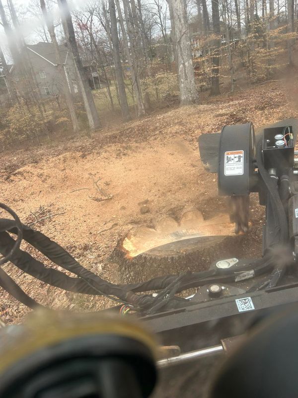 Land Clearing Photos