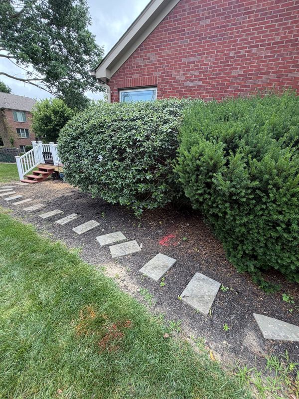Garden Design